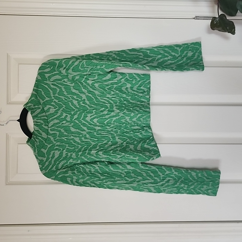 Zara Green Zebra Print Top
